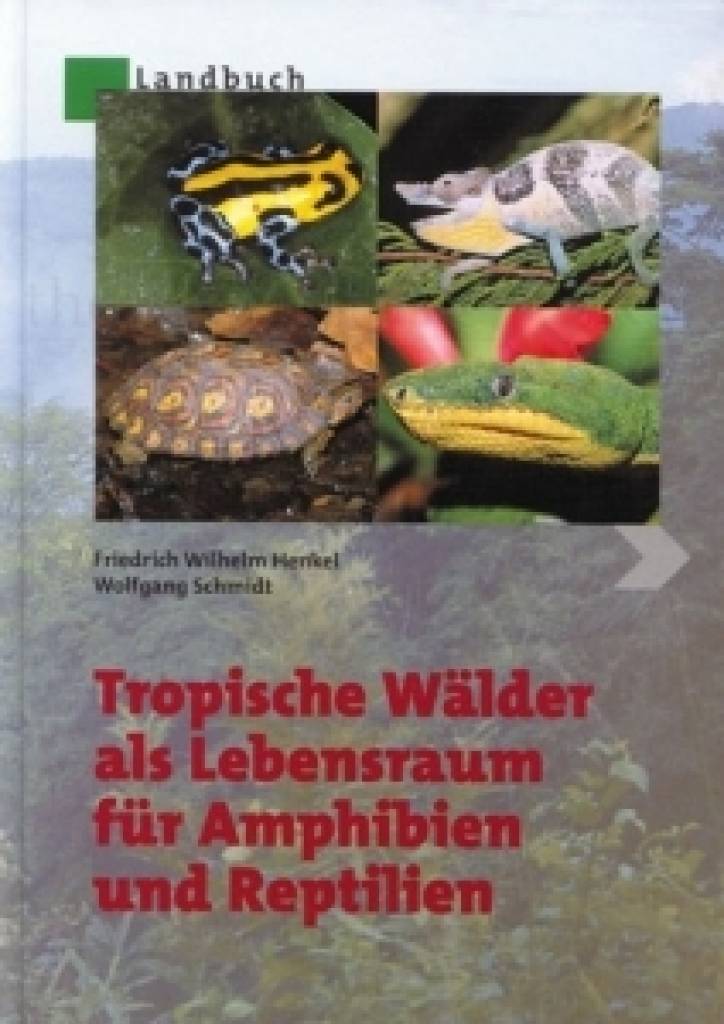 Tropische Wälder als Lebensraum für Amphibien und Reptilien